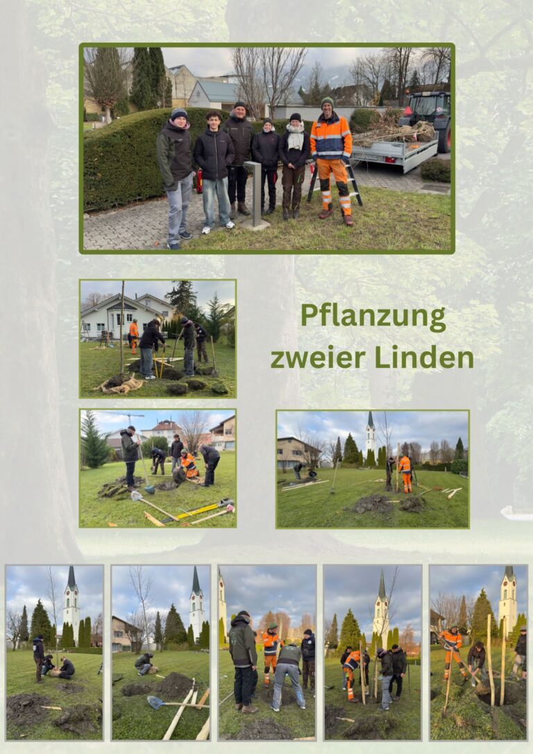 2025-11 Pflanzen zweier Linden